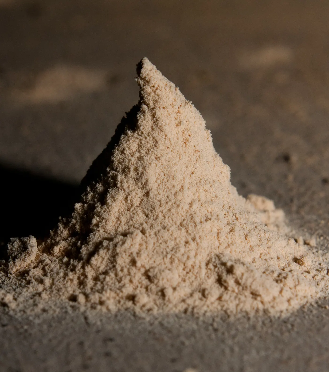 A conical pile of pale gritty bore dust about five centimetres high, produced by woodworm larvae.